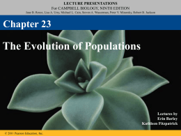 23_Lecture_Presentation_Shortened