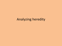 Analyzing heredityx