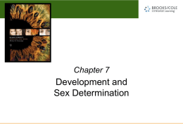 Chapter 7 Power Point Slides