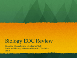 Part 5: EOC Review Power Point