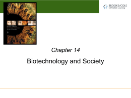 Chapter 14 Power Point Slides