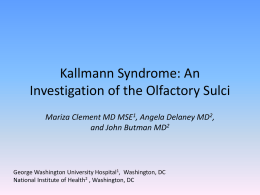 Kallmann Syndrome: An Investigation of the