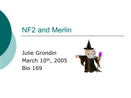 NF2 or Merlin
