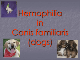 Hemophilia presentation