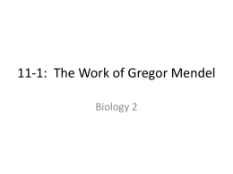 Gregor Mendel TRAIT
