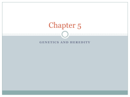 Chapter 5 - TeacherWeb