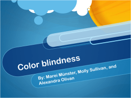 Color Blindness FINALx
