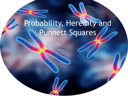 Probability and Heredity