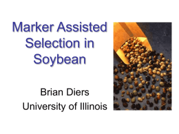 Marker Assisted Selection in Soybean