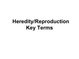 Heredity/Reproduction Key Terms