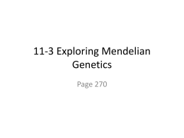 11-3 Exploring Mendelian Genetics