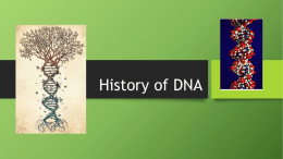 IB 2 History of DNAx