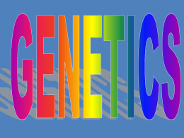 GENETICS A