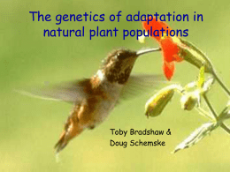 Genetic architecture of adaptation in natural plant populations