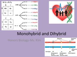 Monohybrid and Dihybrid - Ms Kim`s Biology Class