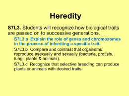 1 Heredity Notes