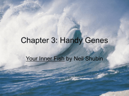 Chapter 3: Handy Genes - JBHA-Sci-US-tri1