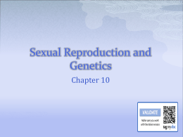 Sexual Reproduction and Genetics