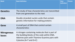 Genetics Vocabulary Genetics Vocabx