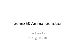 15. Gene350 Animal Genetics 31 August 2009