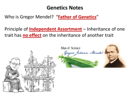 Genetics Powerpoint JPx