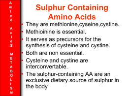 Sulphur Containing Amino Acids