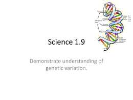 Year 11 Genetics topic