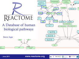 Reactome_Lecture_June_2011