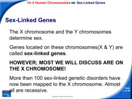 Sex-Linked Genes