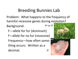 Breeding Bunnies Lab - Moore Public Schools