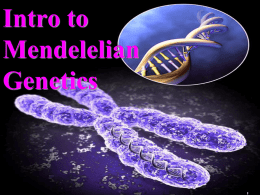 Mendelian Genetics Presentation