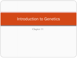 Ch. 11 - Introduction to Genetics