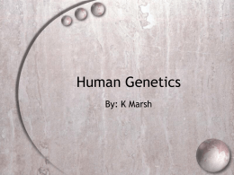 Human Genetics PPT