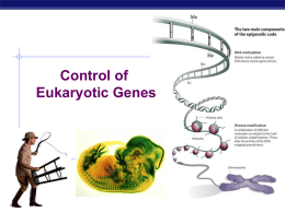 Eukaryotic gene control