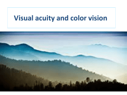 Visual acuity and color vision