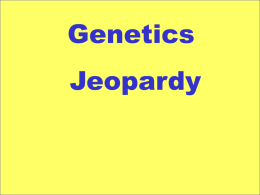 Genetics2013 jeopardy