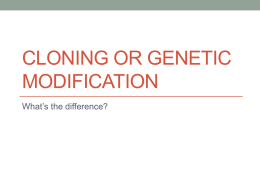 Cloning or Genetic Modification