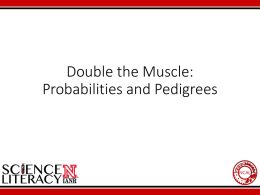 Double the Muscle: Probabilities and Pedigrees PowerPoint