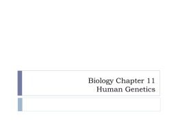 Biology Chapter 11 Human Genetics
