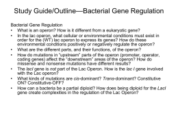 Bacterial Gene Regulation