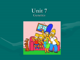 Unit 7 - genetics