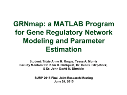 GRNmap: a MATLAB Program for Gene Regulatory