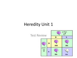 Heredity Unit 1 - Milton