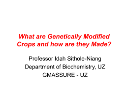 Cultural workshop Zim What are GMOS and how are