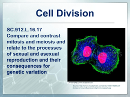 L.16.17 Cell Division Module