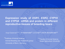 Presentation Expression Study Of ESR1, ESR2,