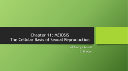 Chapter 11: MEIOSIS The Cellular Basis of Sexual Reproduction