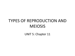 unit 5 types of reproduction and meiosis