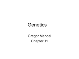 Genetics - WordPress.com