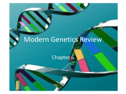Modern Genetics Review
